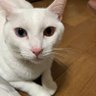 Фото профиля 中村澄恵