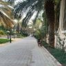 كلنا معالي المستشار تركي ال الشيخ 的头像