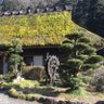 Фото профиля こう