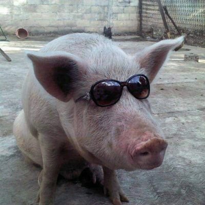 QUEMANDO PU7AS🧐's profile picture