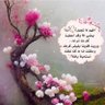 M.K.alsaedy profil fotoğrafı