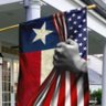 realTX_PATRIOT's profile picture