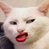 Profilbild von catlover
