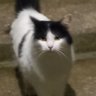 Profilbild von Lu 🚩🚩🚩✨️🍞🚗