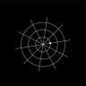 reward's profile picture