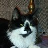 bud smasher's profile picture