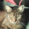 ESTHERB1 profil fotoğrafı