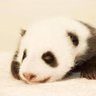 Profilbild von あやぱん