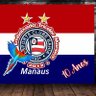Embaixada Tricolor de Manaus profil fotoğrafı