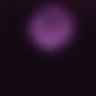 konj's profile picture