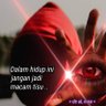 Фото профиля Eddy