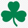 Profilbild von Celtics John