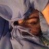Profilbild von maya