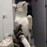 Steve profil fotoğrafı