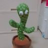 🌵🕯 的头像