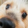 にゃいん's profile picture