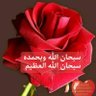 ابو موسى profil fotoğrafı