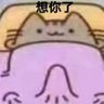 桥哥没烦恼 profil fotoğrafı