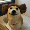 None's profile picture
