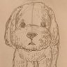 Aki's profile picture