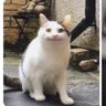 まつぼっくり profil fotoğrafı