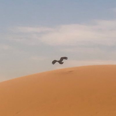 muneera12760417's profile picture