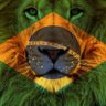 Фото профиля Direita Sempre