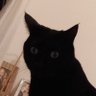 Isildur1 profil fotoğrafı
