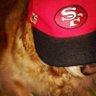 lady49ers 🏈's profile picture
