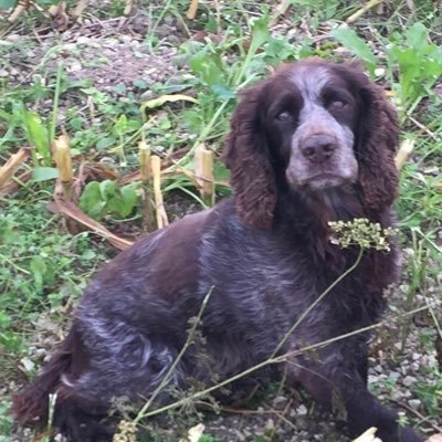 Jim Scarratt's profile picture
