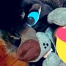 Profilbild von 🧵MadeByPaws-Coms OPEN
