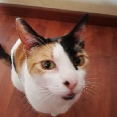 MacPC32's profile picture