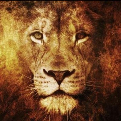 MikeTjrsDebout's profile picture