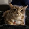 Michelle profil fotoğrafı