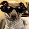 j's profile picture