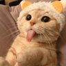 VaughanEnid's profile picture
