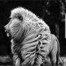 joenoga06's profile picture