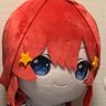 避難用アカ🇯🇵🇵🇸🇹🇼🇰🇬🇮🇷🇸🇦🇲🇾🇮🇩's profile picture