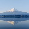 ハコ推しのハマハコ profil fotoğrafı