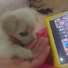 Lucky Momoko KGeN profil fotoğrafı