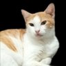 Profilbild von E. M. A.