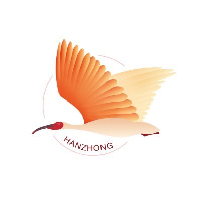 HanZoneCN's profile picture