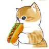 梅きち's profile picture