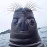 Robert'); DROP TABLE Students; 🐭🗿's profile picture