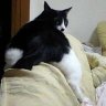 もぎゅわい 的头像