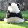 Profilbild von わわわ