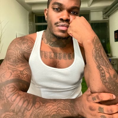 Vince_Volta's profile picture