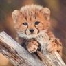 hapihapiT˙˚°☆'s profile picture