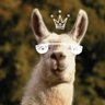 Gabi's profile picture