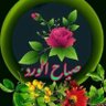 سيد ابراهيم الحديدي profil fotoğrafı